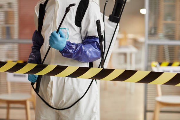 Professional Sewage Cleanup technician working in Harriman, NY